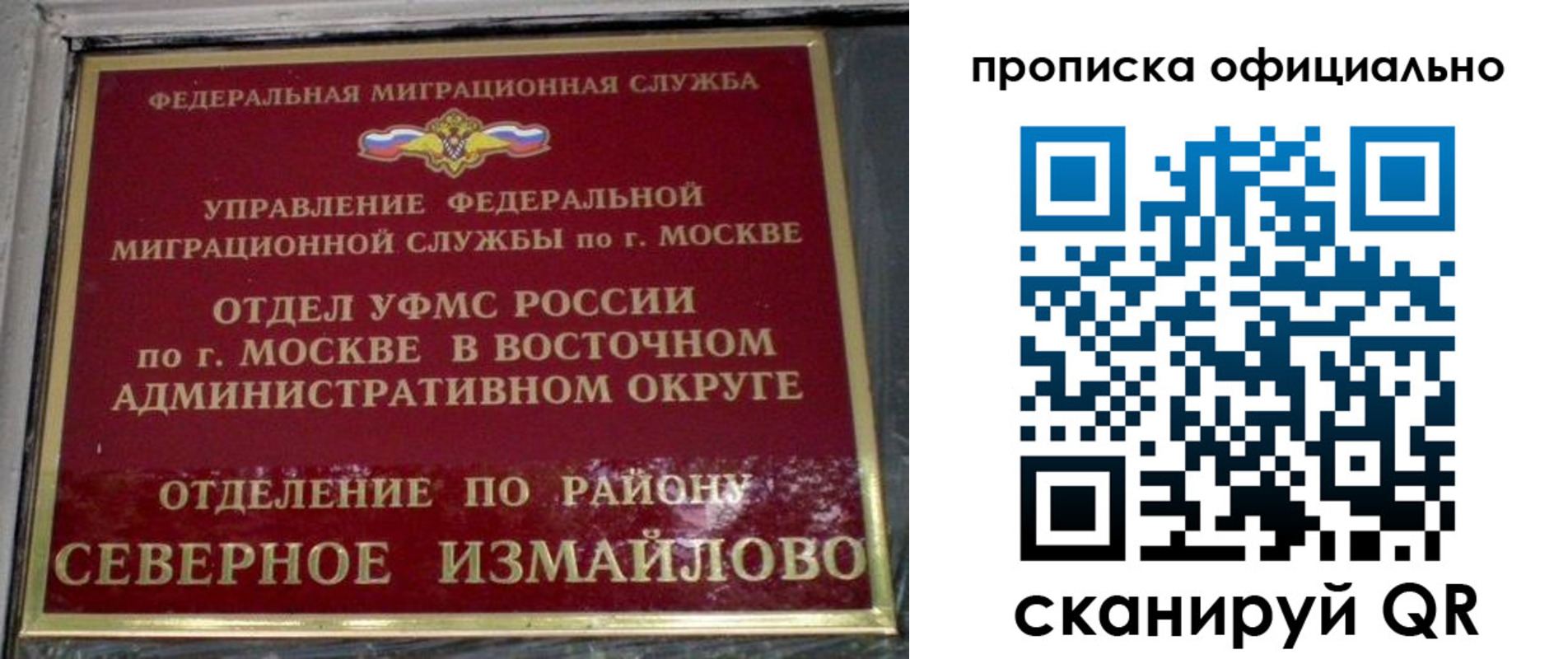 временная регистрация поиск в Ярославской области